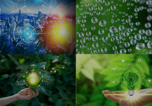 Innovation Ecosystem